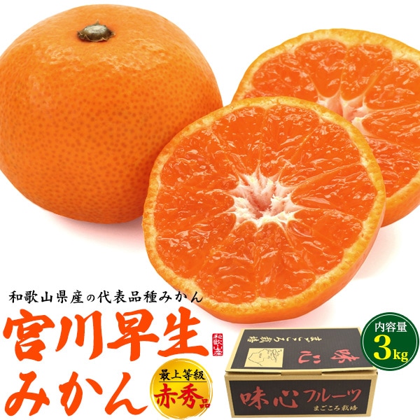 送料無料<br>和歌山県産の代表品種「宮川早生みかん」 　 最上等級 赤秀品 約3kg