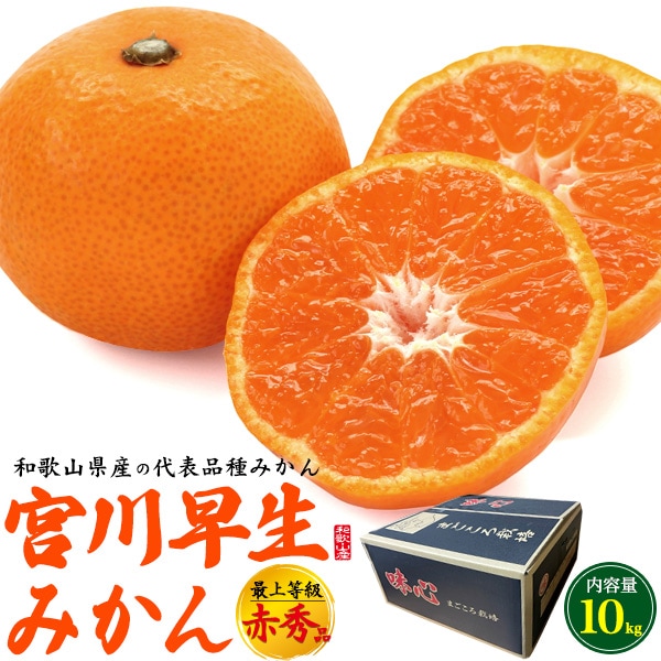 送料無料<br>和歌山県産の代表品種「宮川早生みかん」 最上等級 赤秀品 約10kg