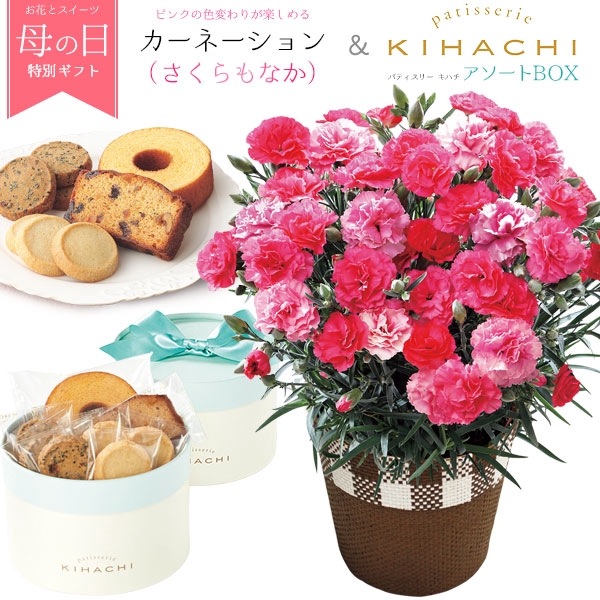 送料無料<br>「パティスリー　キハチ」アソートＢＯＸとカーネーション（さくらもなか）