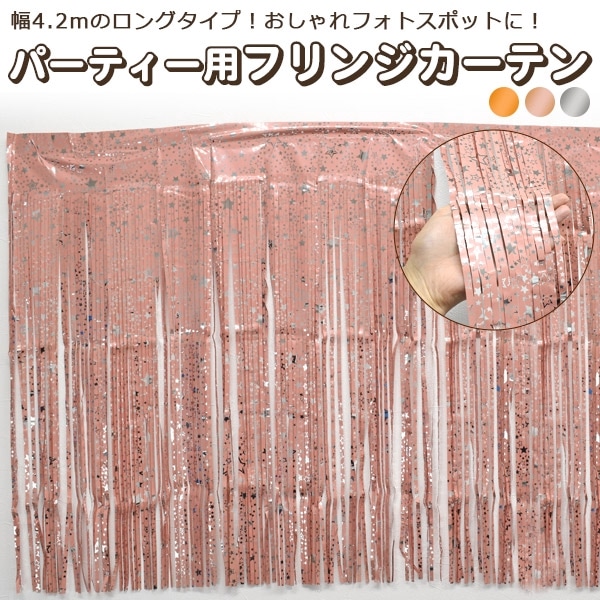 メール便送料無料<br>パーティー用フリンジカーテン（ホイル タッセルカーテン）