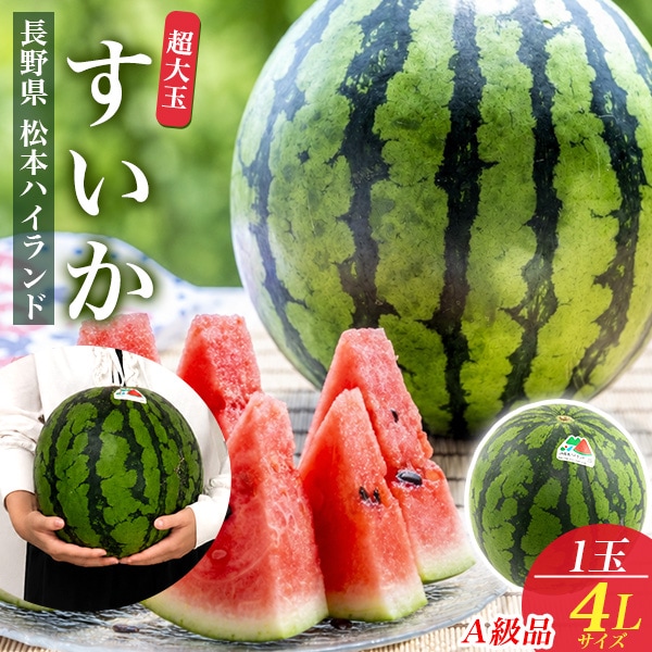 送料無料<br>贈答用(A級品)　長野県　松本ハイランドすいか 4Lサイズ 1玉