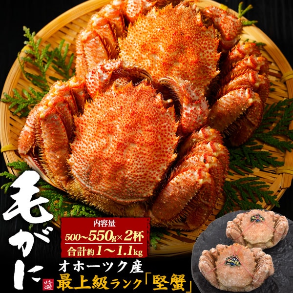 送料無料<br>毛ガニ 2杯 約500～550g×2 合計約1kg～1.1㎏