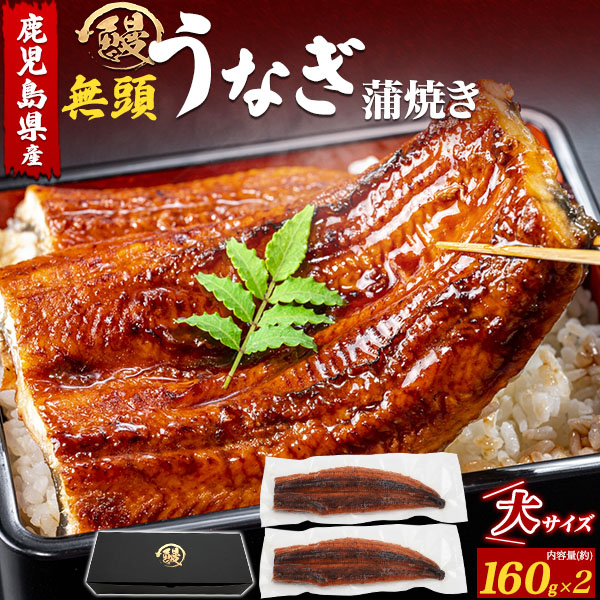 送料無料 無頭うなぎ 160g タレ 2尾セット