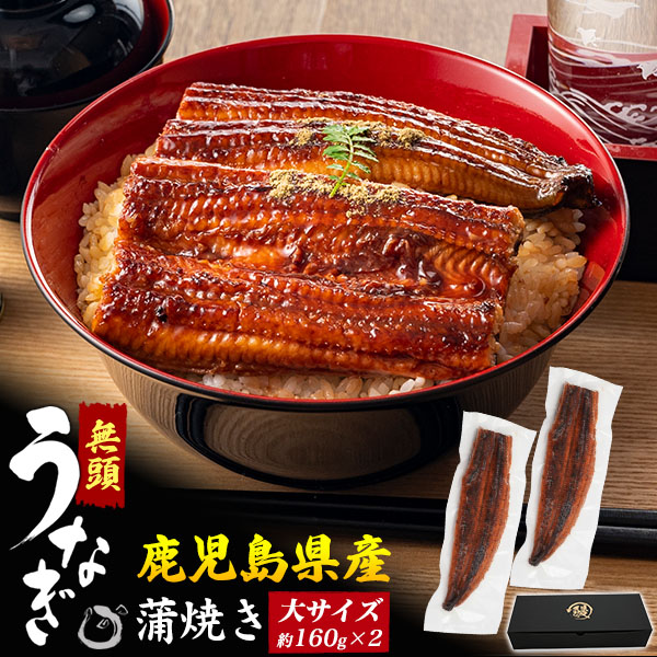 送料無料 無頭うなぎ 150g タレ 2尾セット
