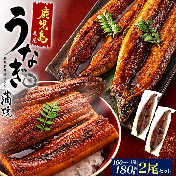 有頭うなぎ 160g タレ (160～180g)　2尾セット