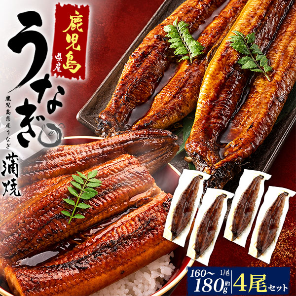 有頭うなぎ 160g タレ (160～180g)　4尾セット