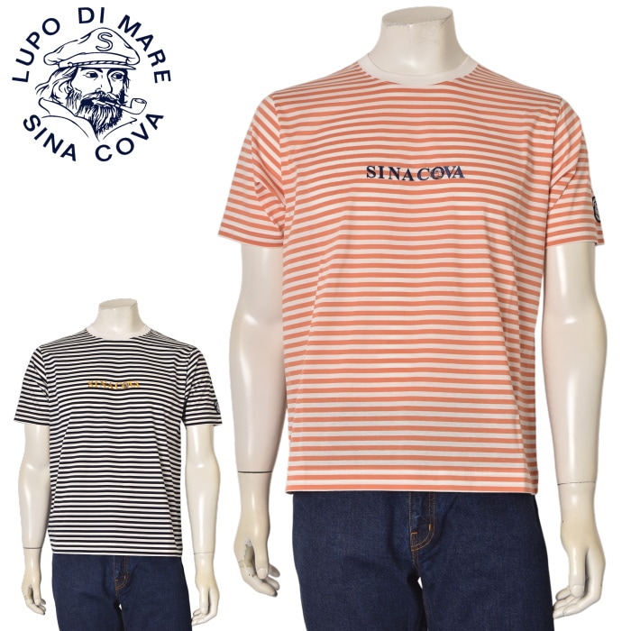 ���ʥ��� SINACOVA 2025�ղƿ��� ��� ȾµT�����