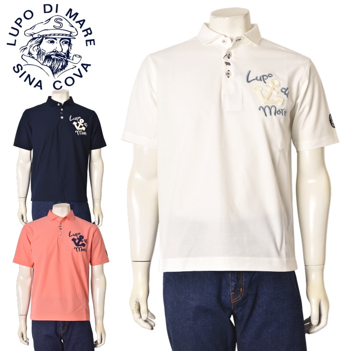 ���ʥ��� SINACOVA 2025�ղƿ��� ��˥��å��� ��� ��ǥ����� Ⱦµ�ݥ������