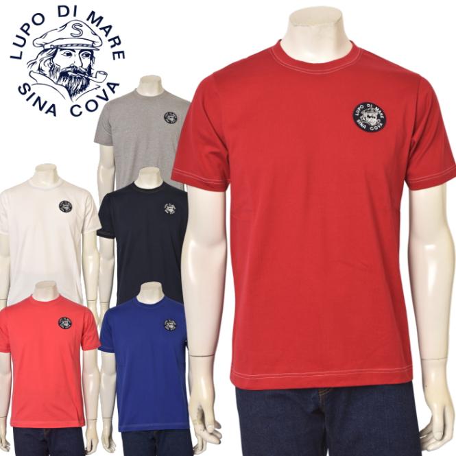 ���ʥ��� SINACOVA 2025�ղƿ��� ��� ȾµT�����