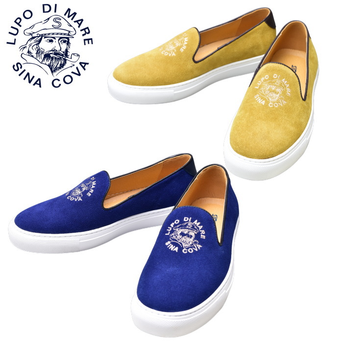 ���ʥ��� SINACOVA 2025���߿��� ��� ���� �������ɥ���åݥ�