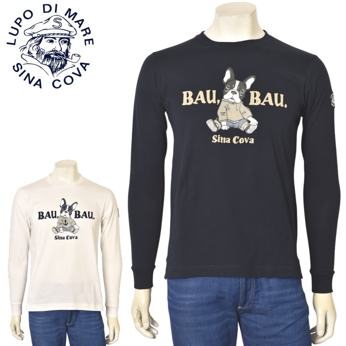 ���ʥ��� SINACOVA 2025���߿��� ��� ĹµT�����