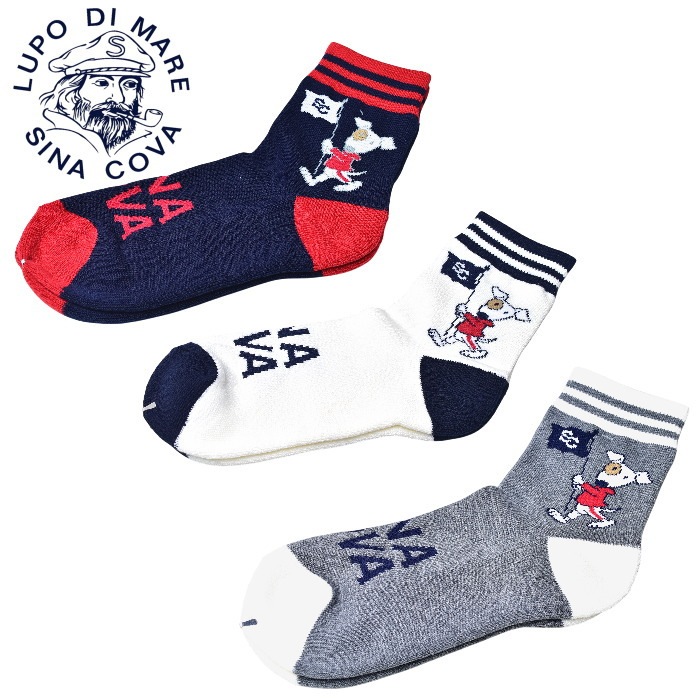 ���ʥ��� SINACOVA 2025���߿��� ��� ���å���