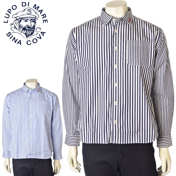 ���ʥ��� SINACOVA 2025���߿��� ��� Ĺµ�����