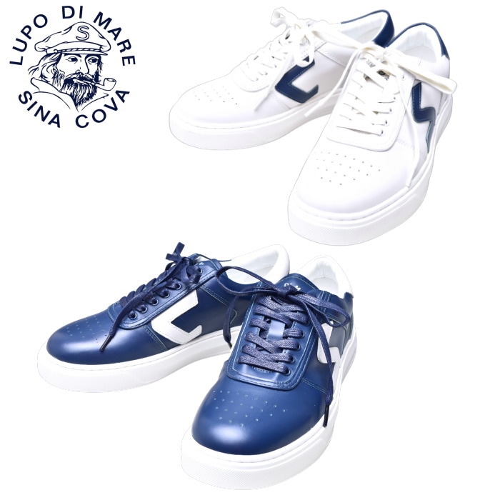 ���ʥ��� SINACOVA 2026�ղƿ��� ��� ���� �쥶�����ˡ�����
