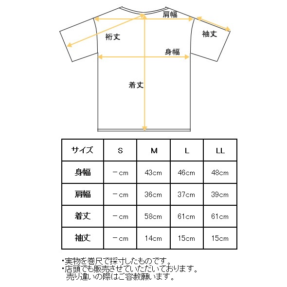 20OFF롪 ѥ and per se  2025ղƿ ǥ Ⱦµݥ  ե ȥå