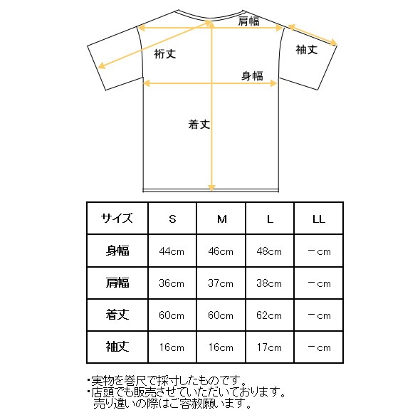 40��OFF�����롪 ������ӥ� archivio ����� 2025�ղƿ��� ��ǥ����� Ⱦµ�ݥ������ �� ����ե����� �����ȥ�å�