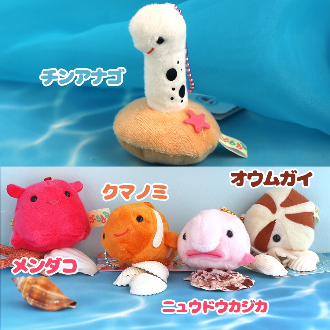 ぷちまるDX うみ・水辺のいきもの | 1,000円以下 | プリーズ&peppysmile