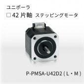 P-PMSA-U42D2L