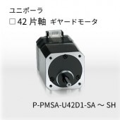 P-PMSA-U42D1-SB