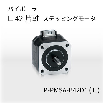 P-PMSA-B42D1