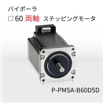 P-PMSA-B60D5D