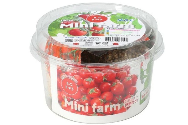 ミニトマト栽培キット