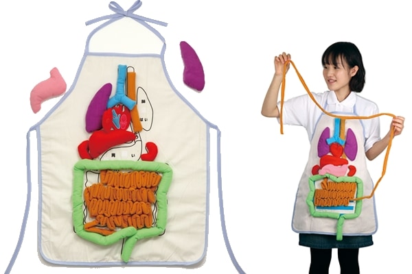 体のしくみエプロン