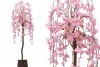 しだれ桜スタンド
