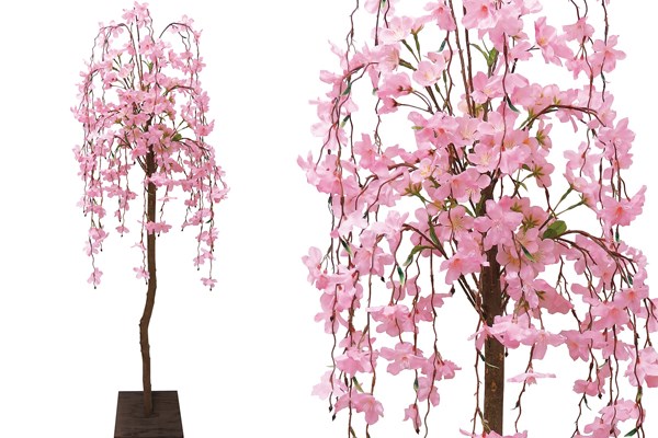 しだれ桜スタンド