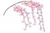 シダレ桜12本セット