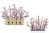 桜ガーデンアレンジ