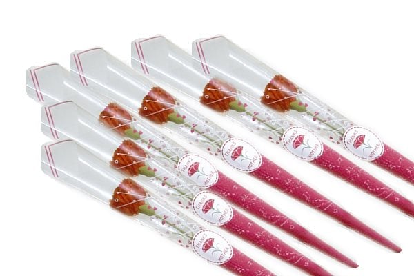 配布用カーネーション１００個セット