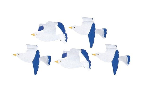 かもめ５個セット