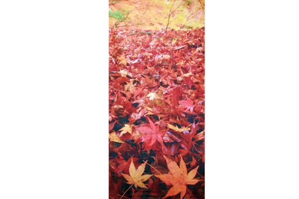 敷きもみじタペストリー（紅葉のじゅうたん風景）