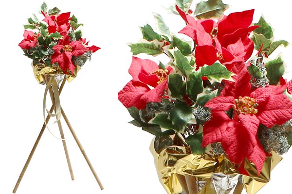 立体ポインセチア