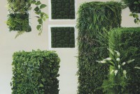 リーフ＆グラスマット25ｃｍ