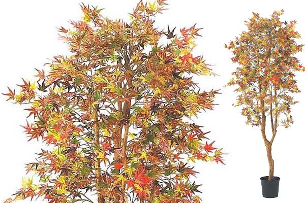 紅葉ツリー180ｃｍ