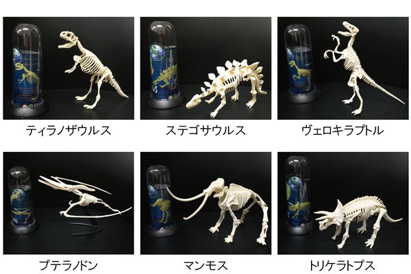 恐竜骨格パズル
