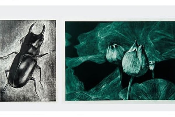 消しゴムスクラッチアート