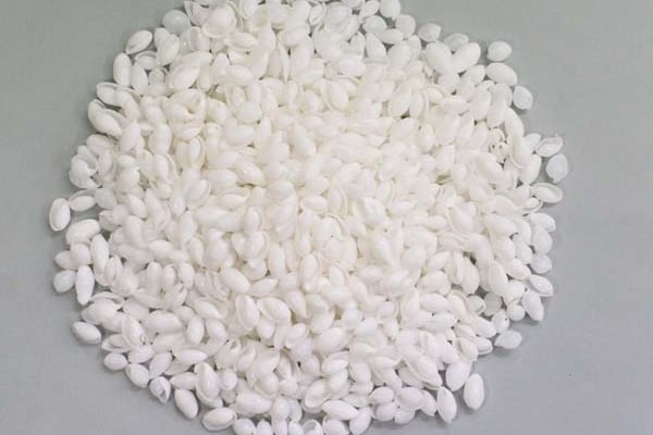 白い貝殻1ｋｇ