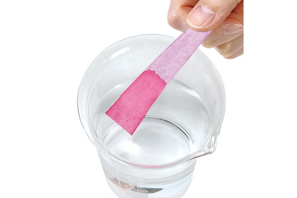 リトマス試験紙作り