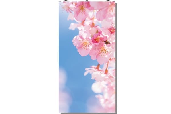 桜タペストリー