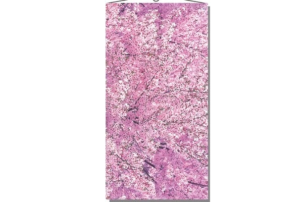 満開桜タペストリー