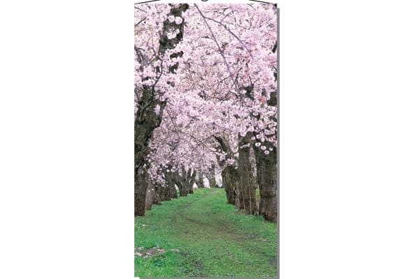 桜小道タペストリー
