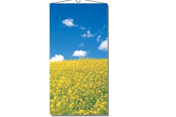 菜の花タペストリー