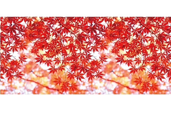 秋のディスプレイシート