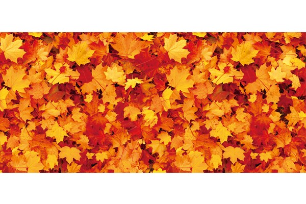 秋のディスプレイシート