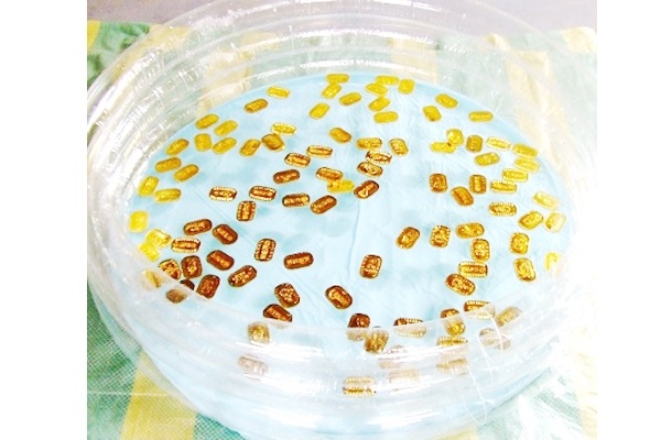 金ぴか小判 水に浮くキラキラ縁日すくいおもちゃ｜5種10柄アソート｜48mmカプセル対応｜100個セット