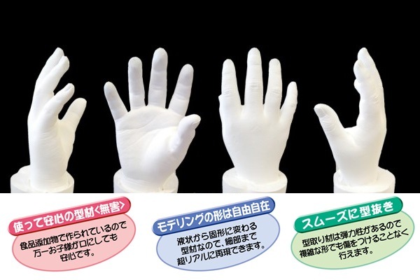 立体石膏モデル