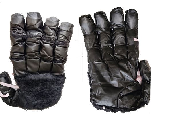 ゴリラ・イン・ミディスト